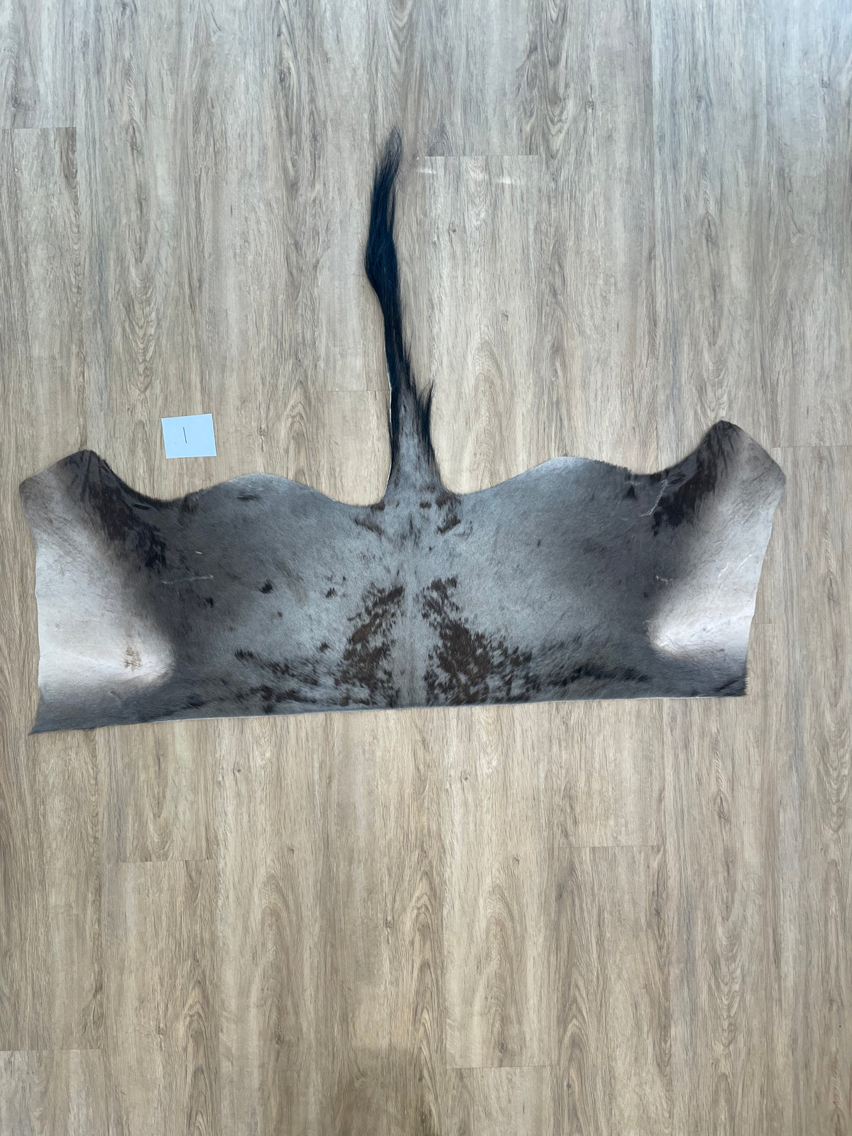 Blue Wildebeest back Skin