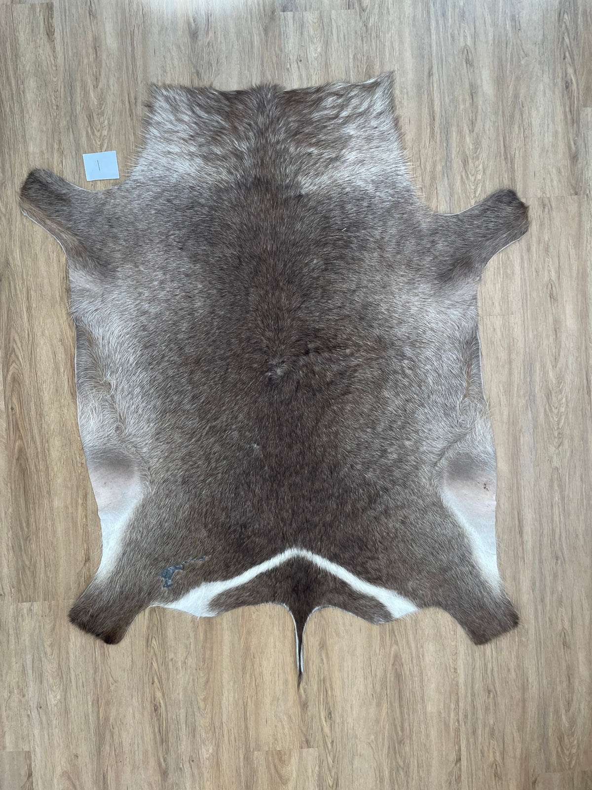 Waterbuck Skin