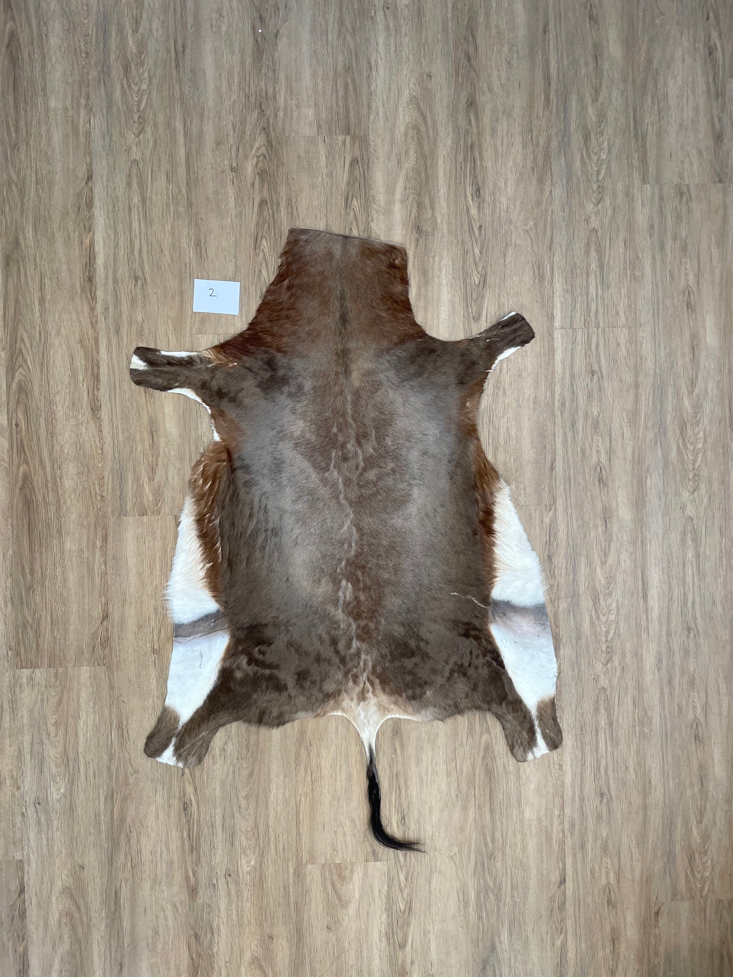Blesbok Skin