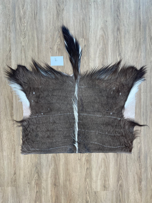 Nyala back Skin