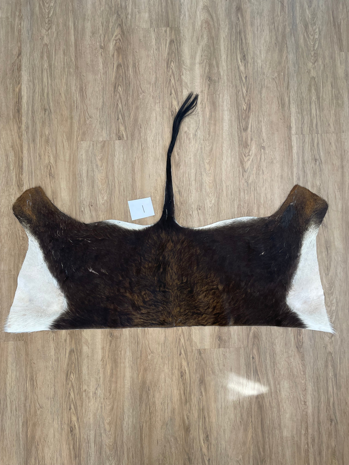 Sable back Skin