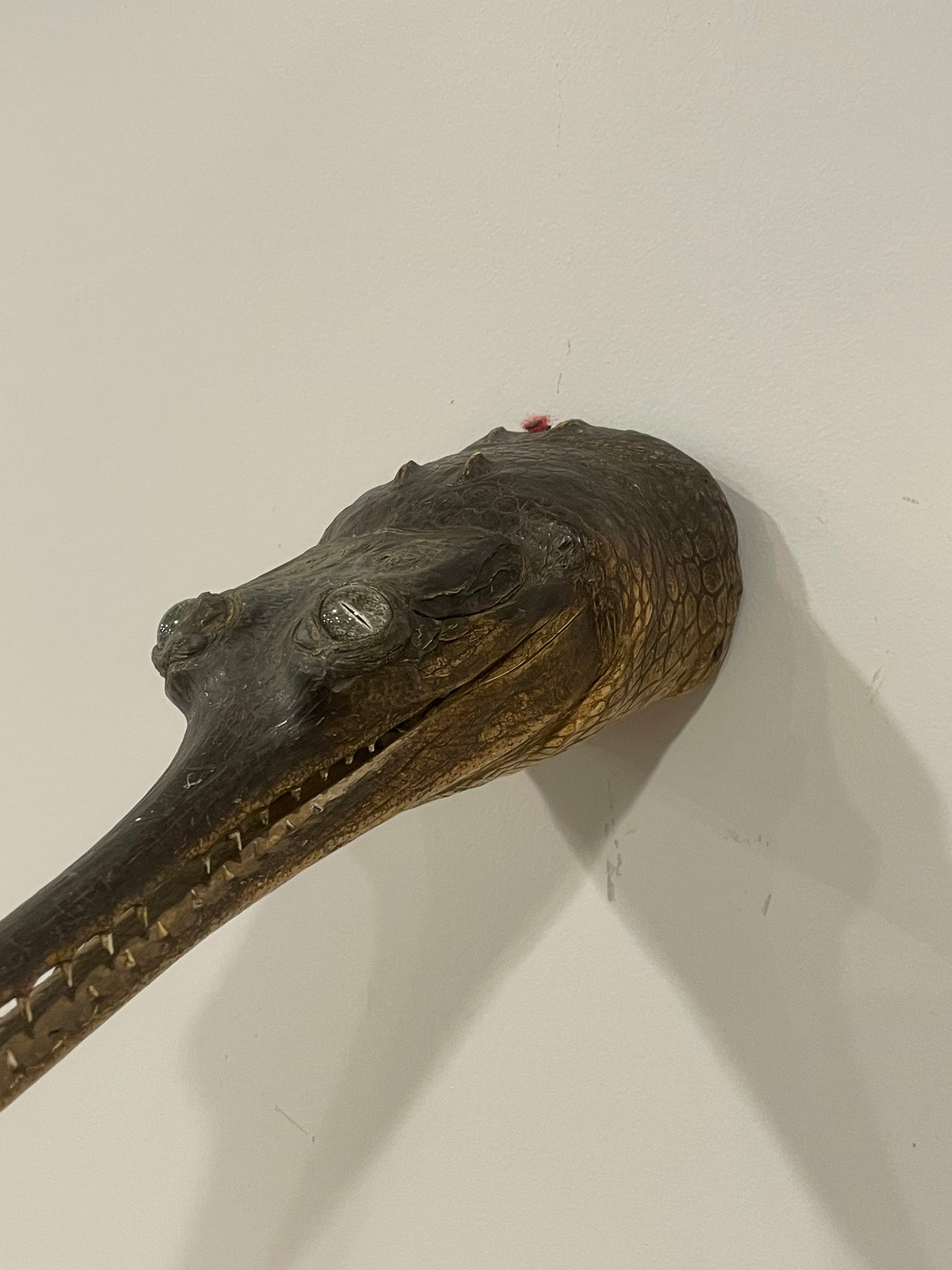 Gharial
