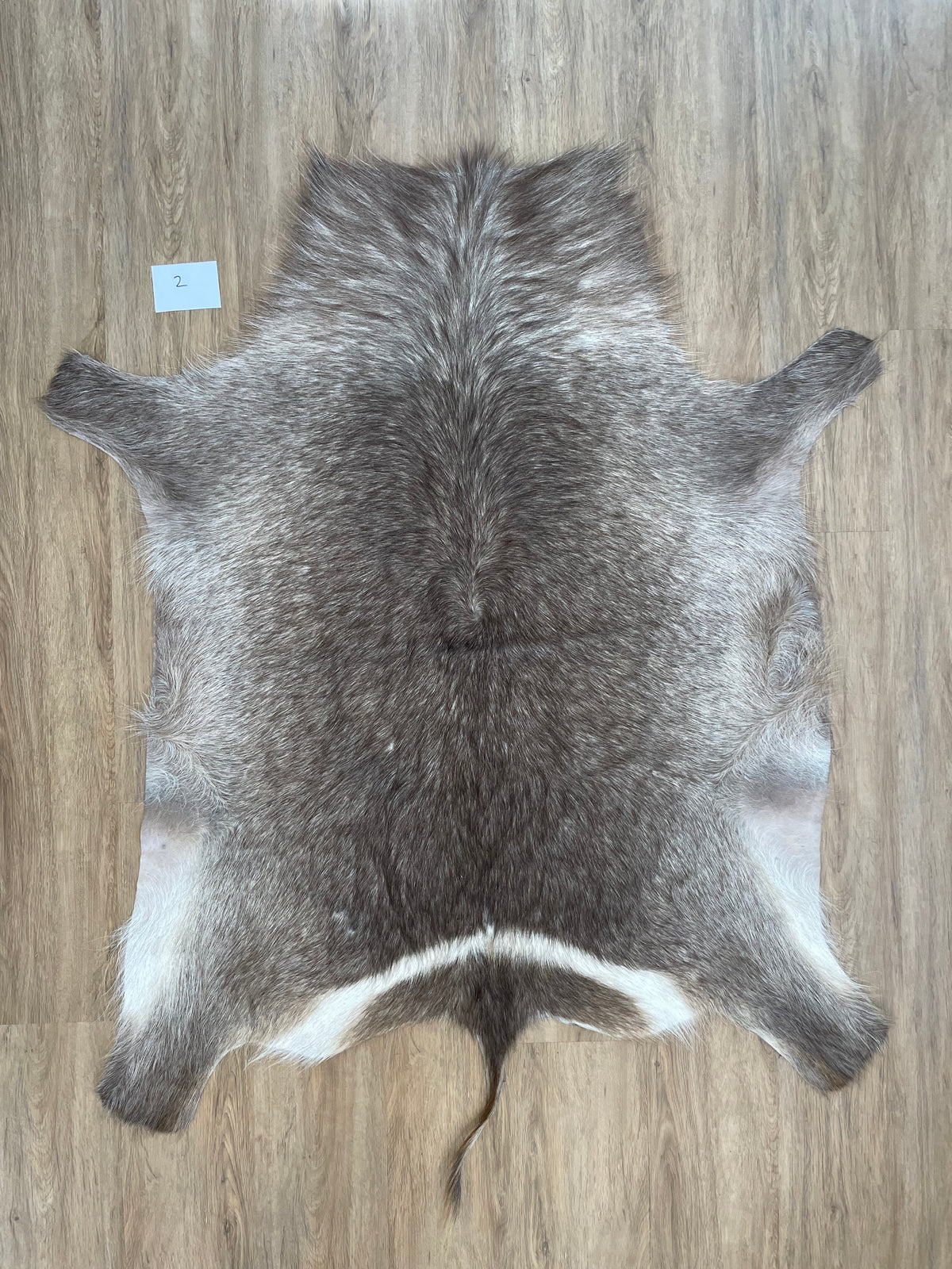 Waterbuck Skin