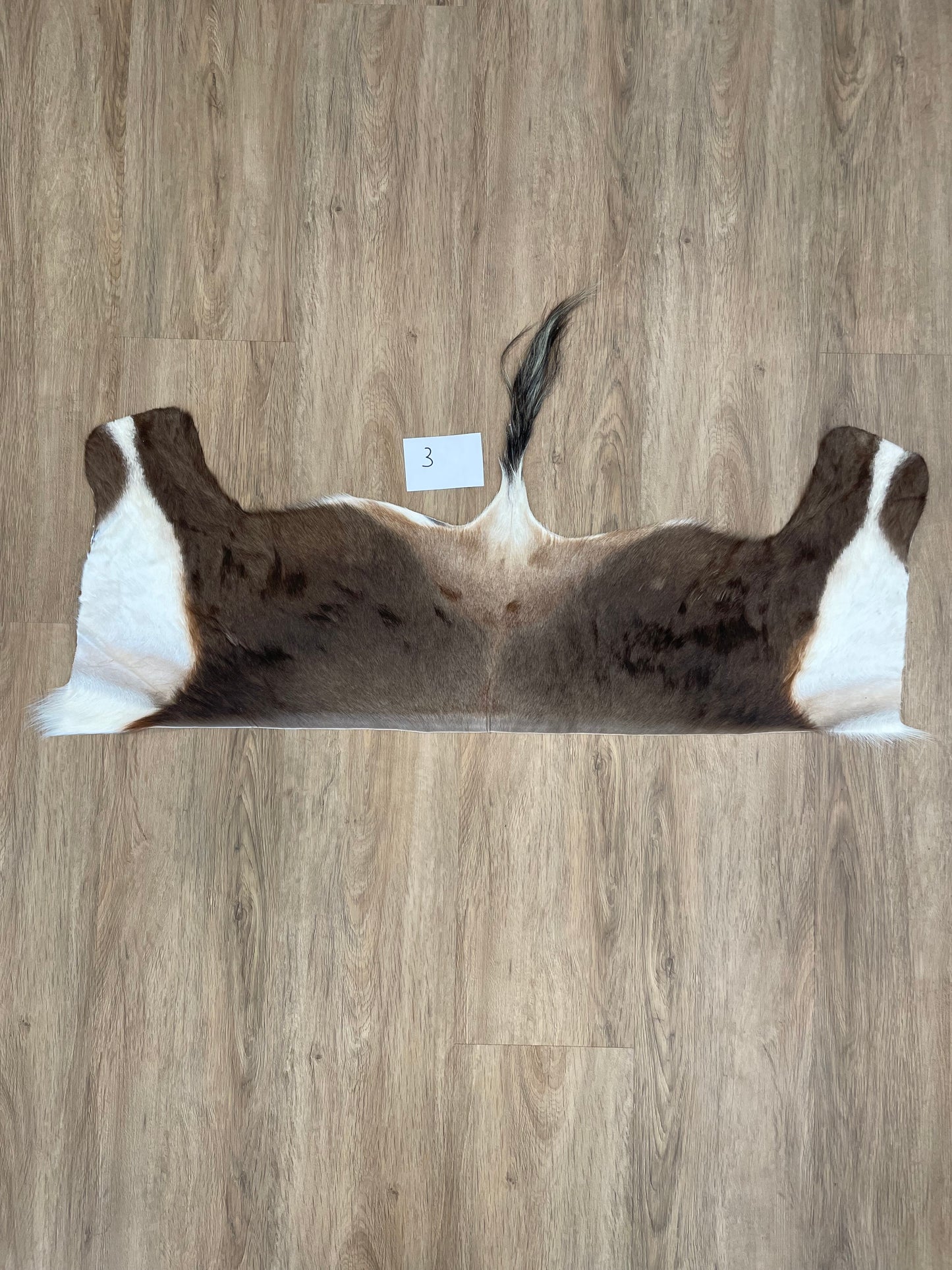 Blesbok back Skin