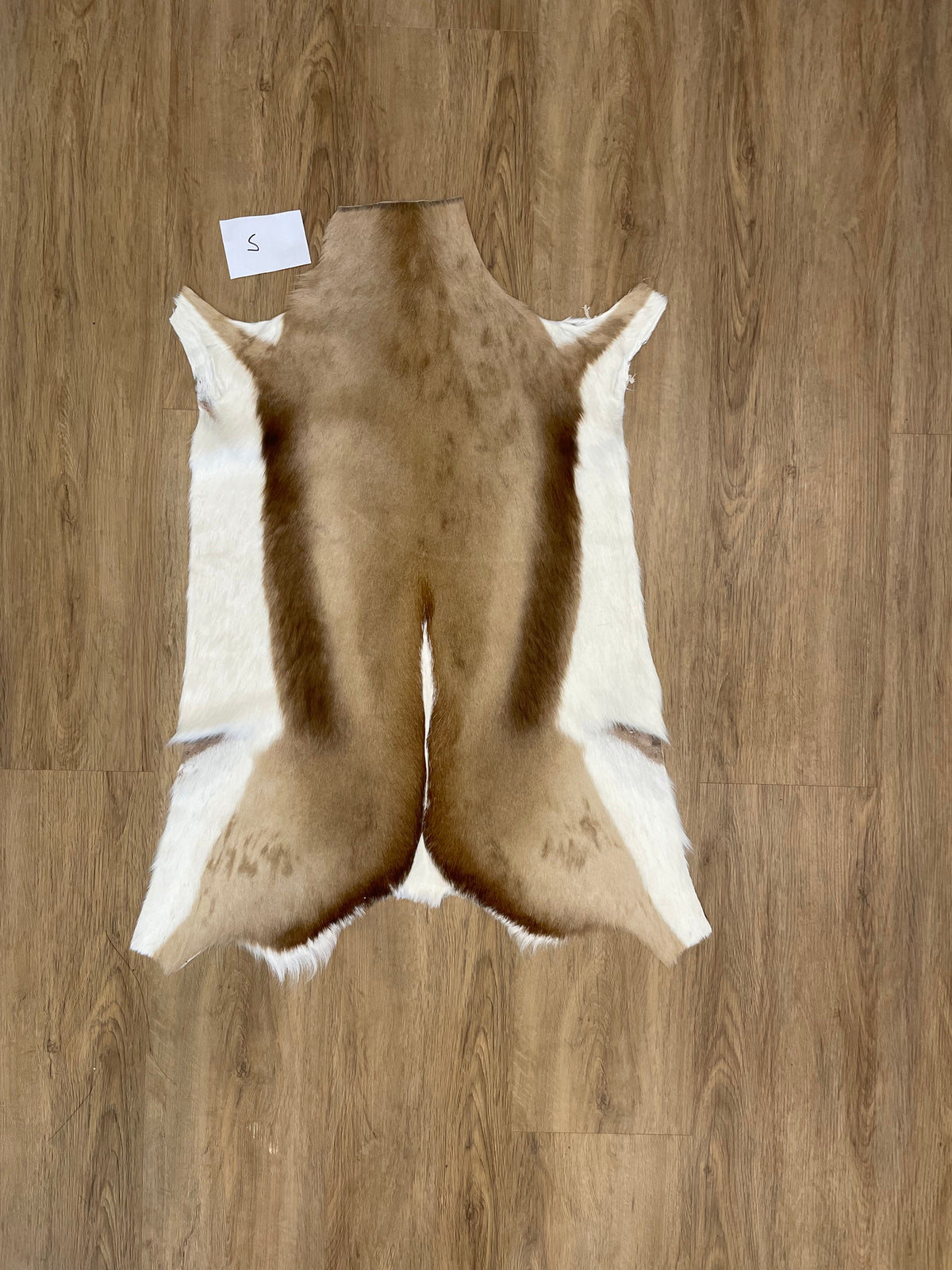Springbok Skin