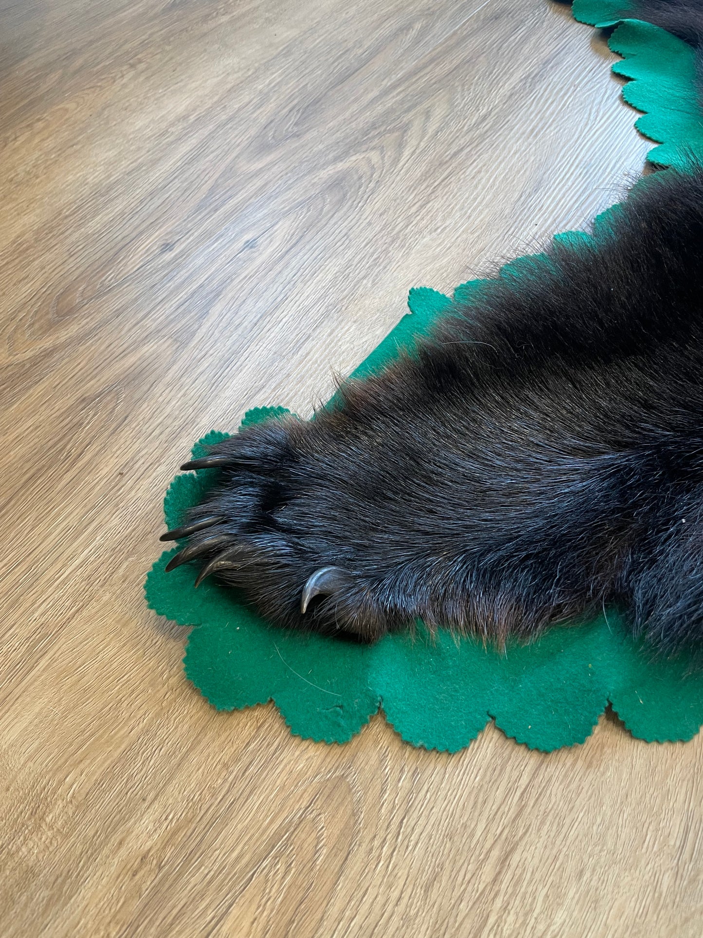 Black Bear Skin