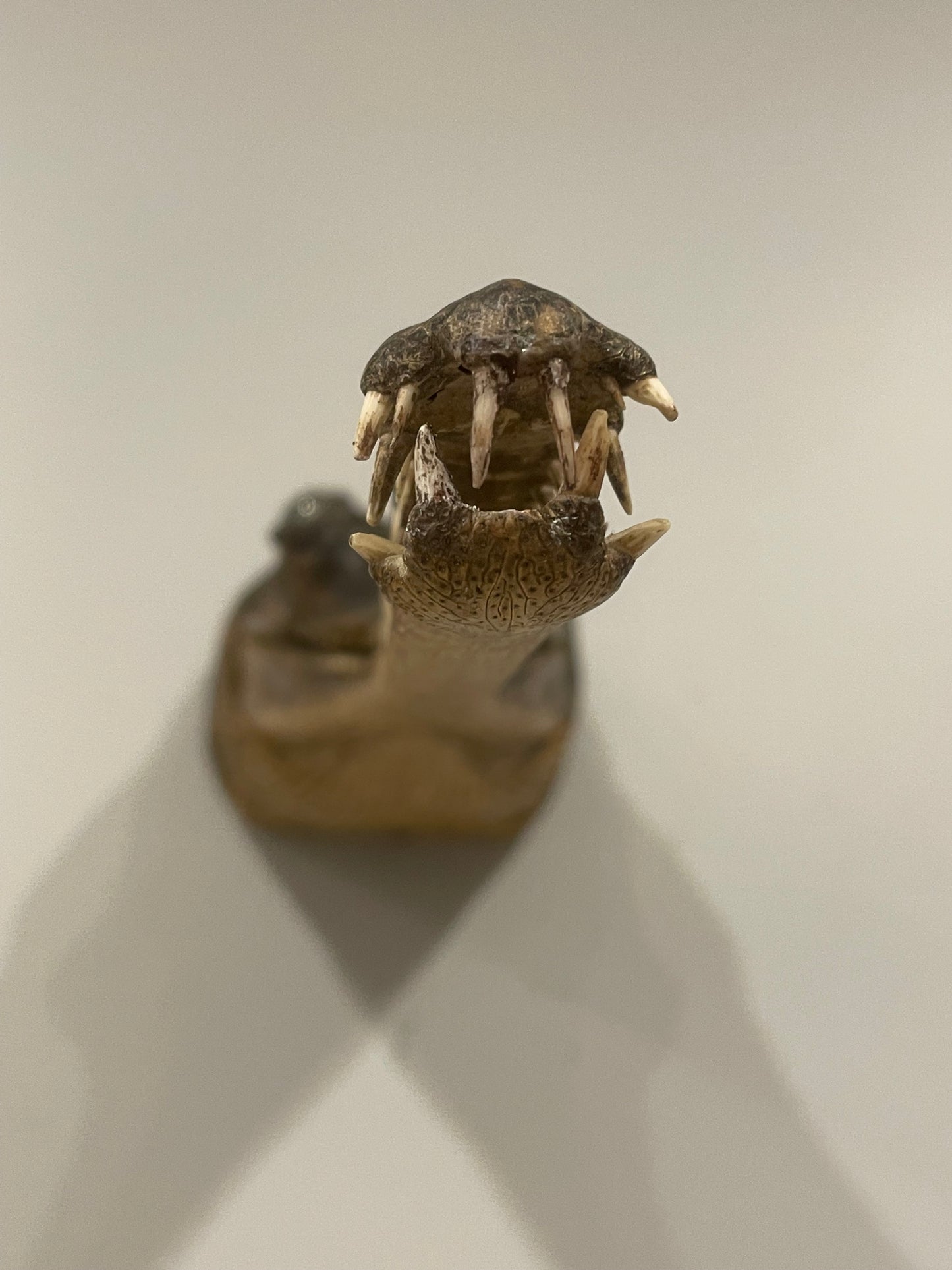 Gharial