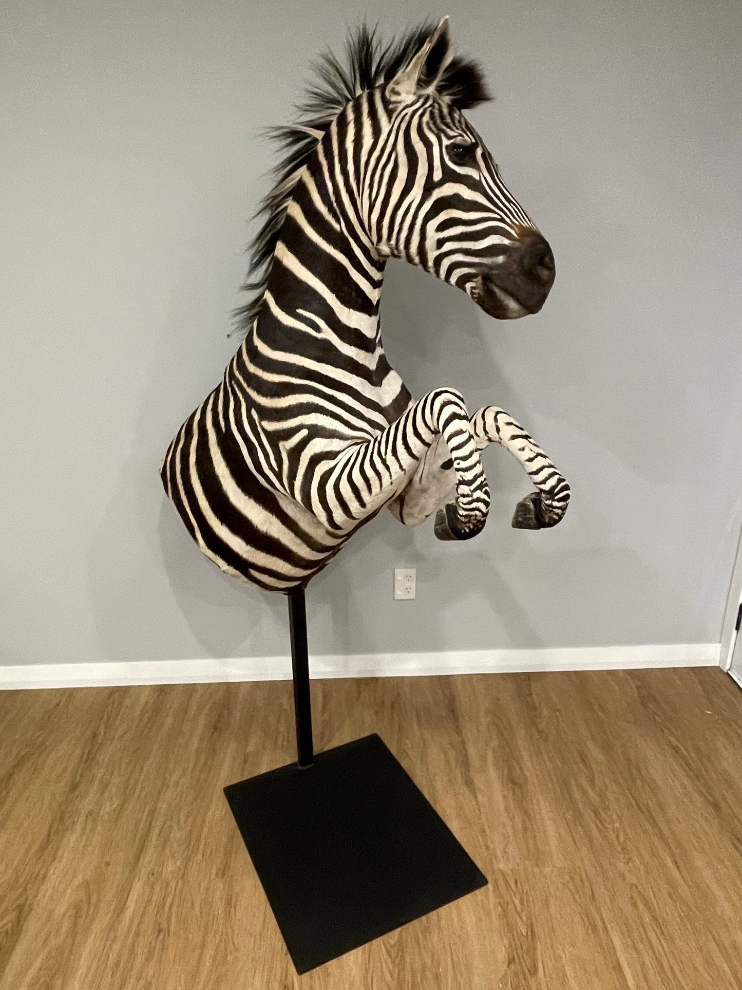 Zebra Pedestal