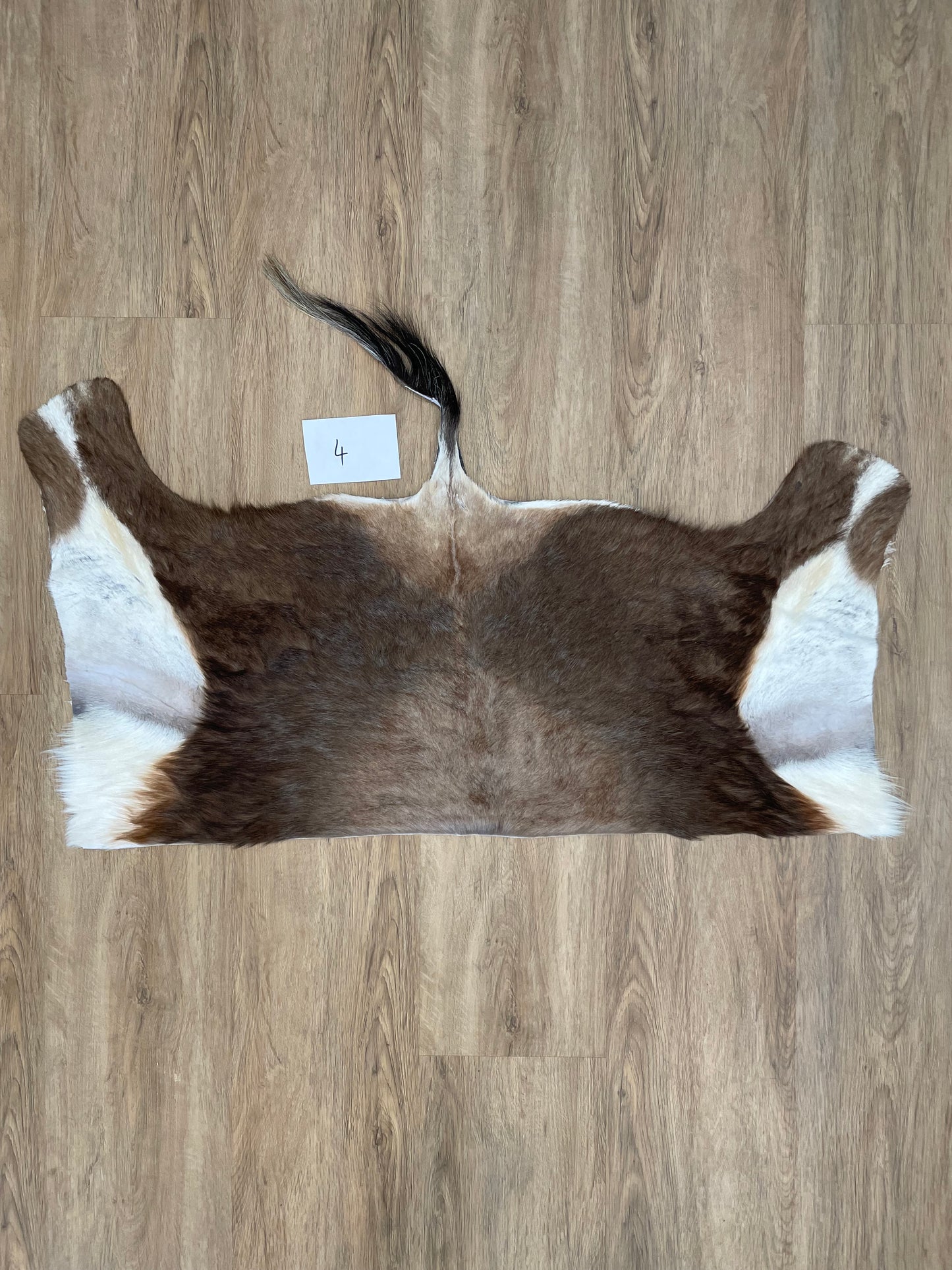 Blesbok back Skin