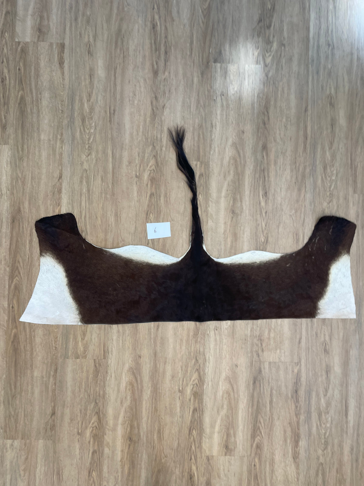 Sable back Skin