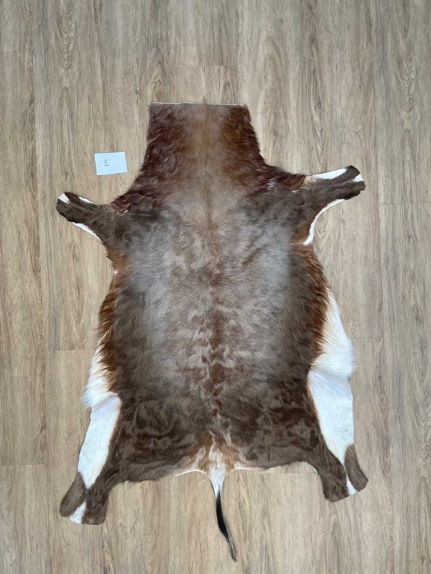 Blesbok Skin