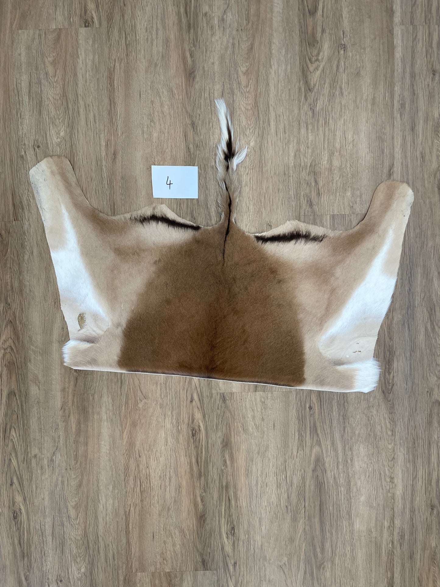 Impala Half Skin