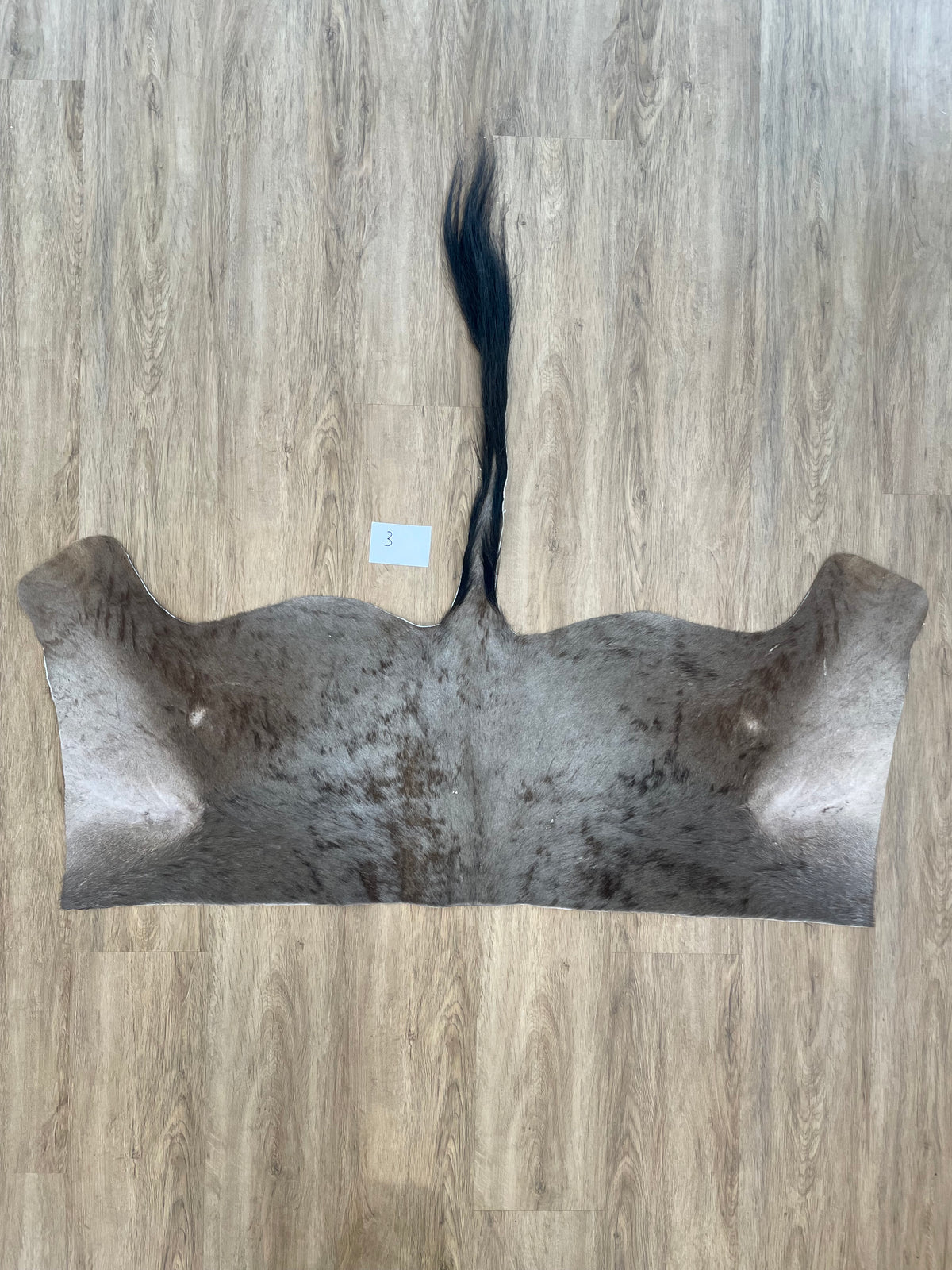 Blue Wildebeest back Skin