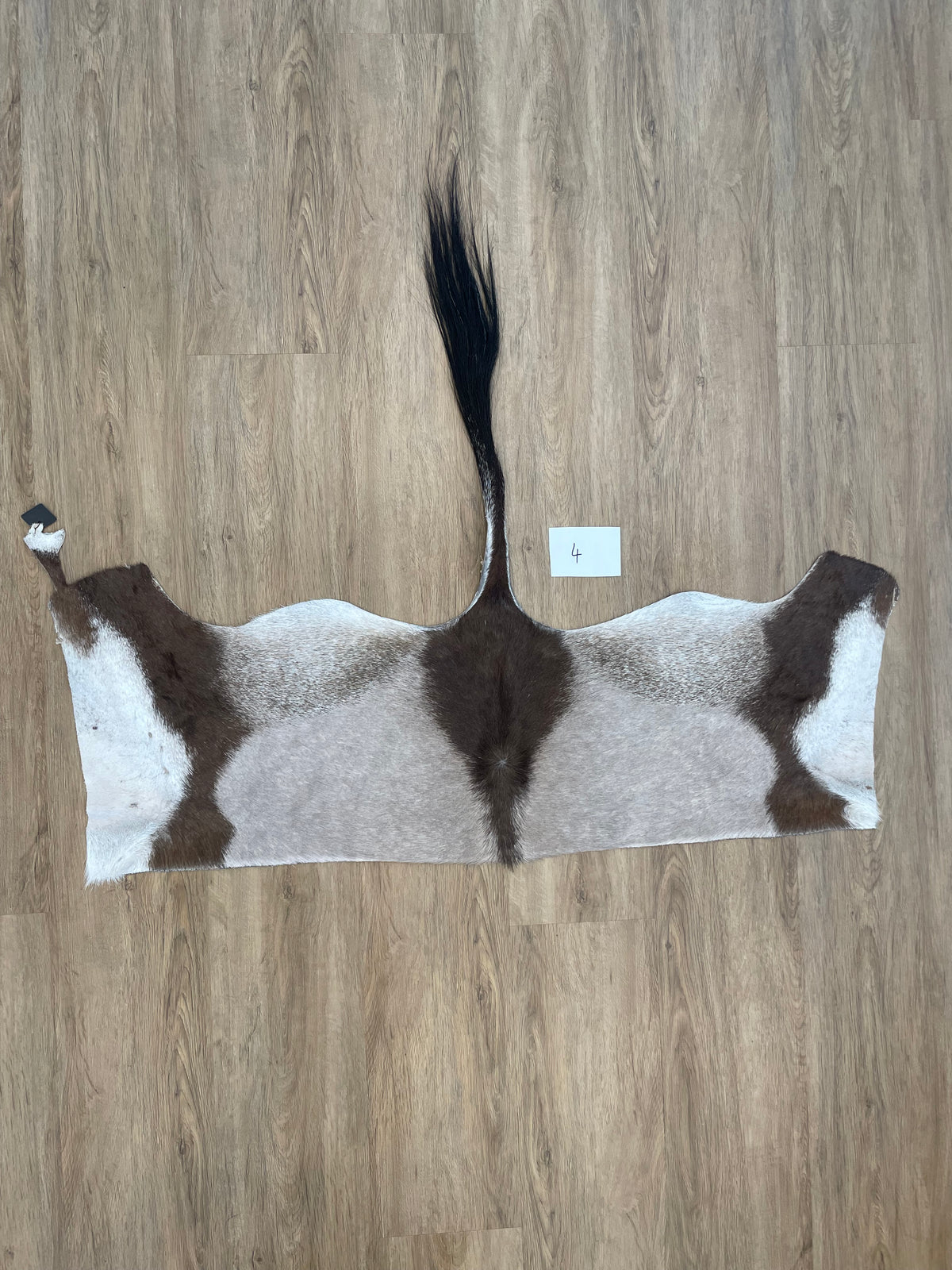 Gemsbok back Skin