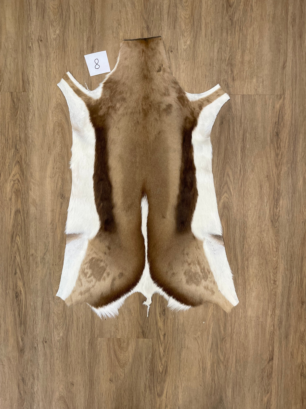 Springbok Skin