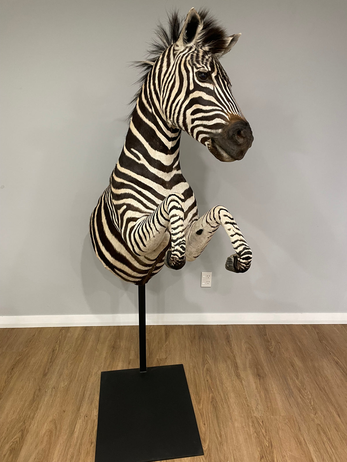 Zebra Pedestal