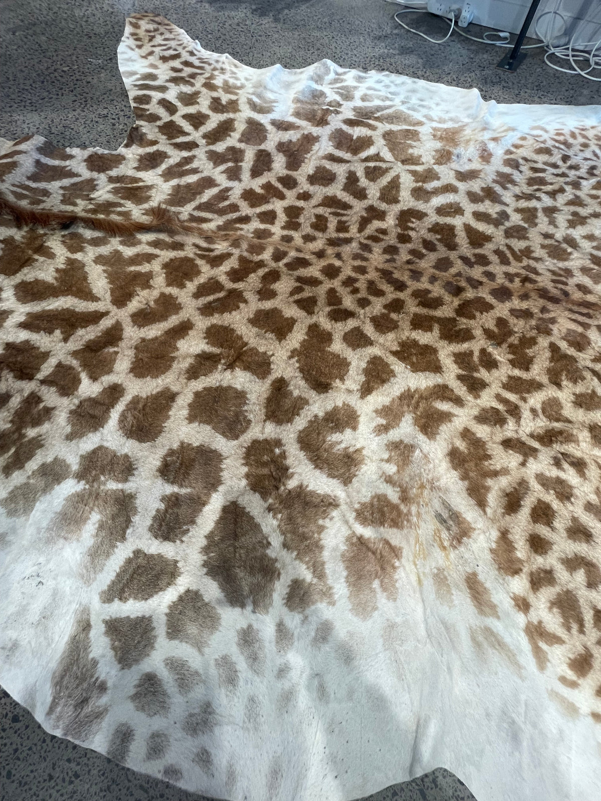 Giraffe Skin