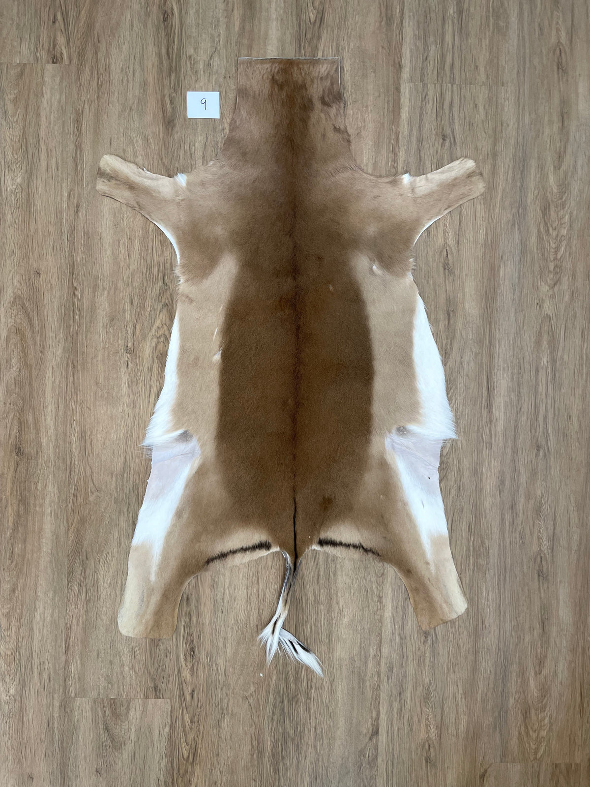 Impala Skin