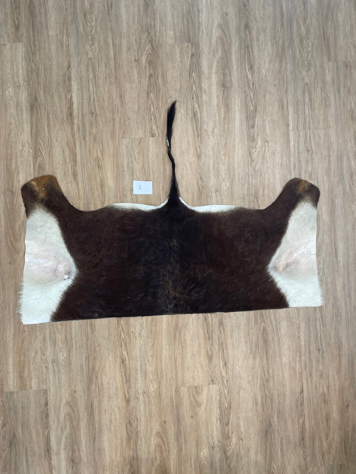 Sable back Skin