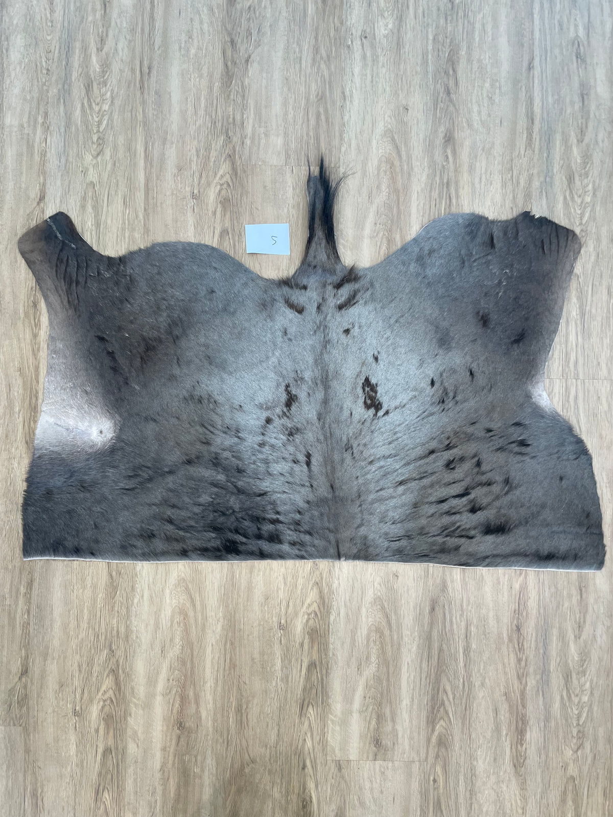 Blue Wildebeest back Skin