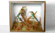Bee Eaters