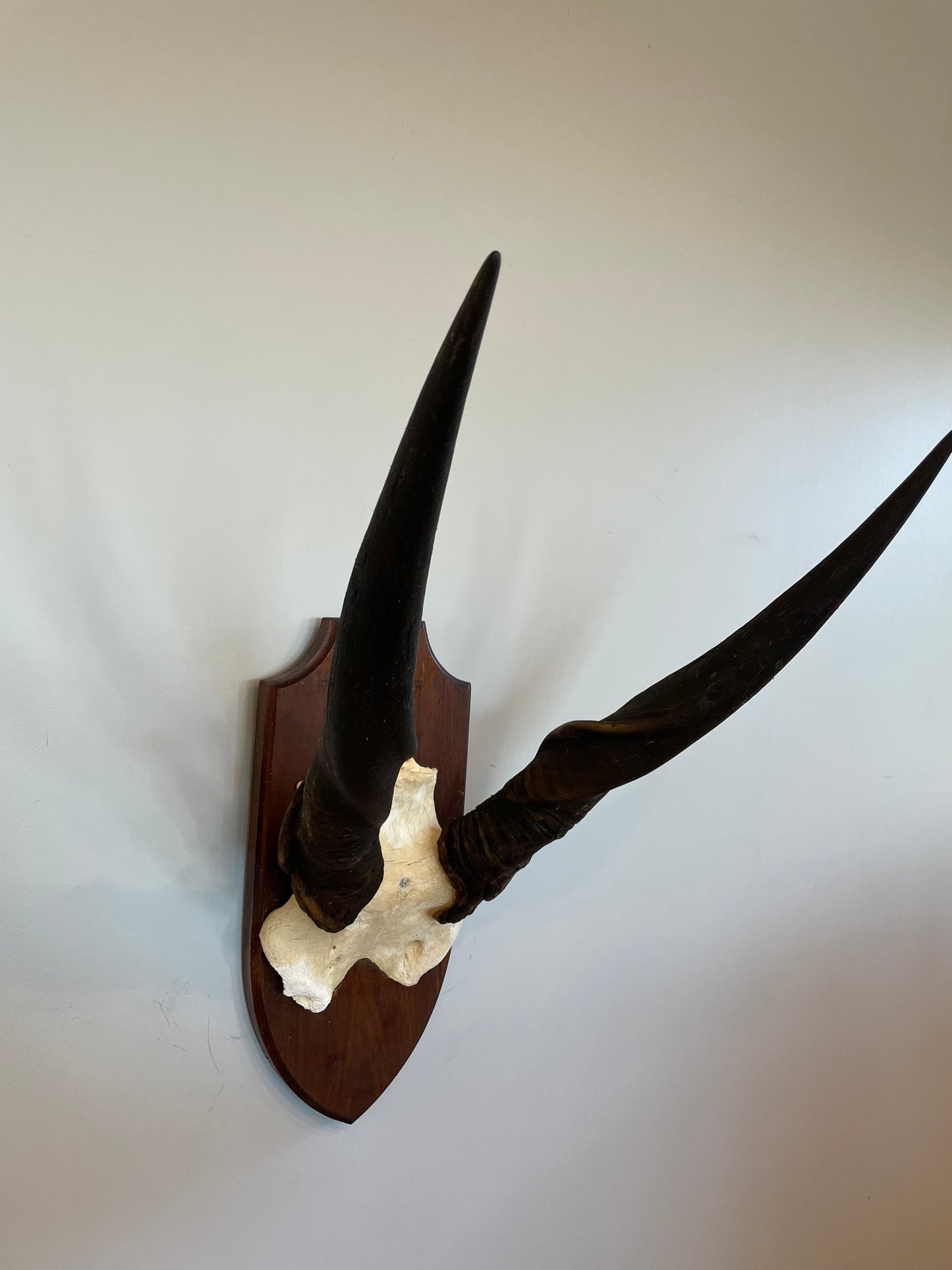 Eland Euro Mount