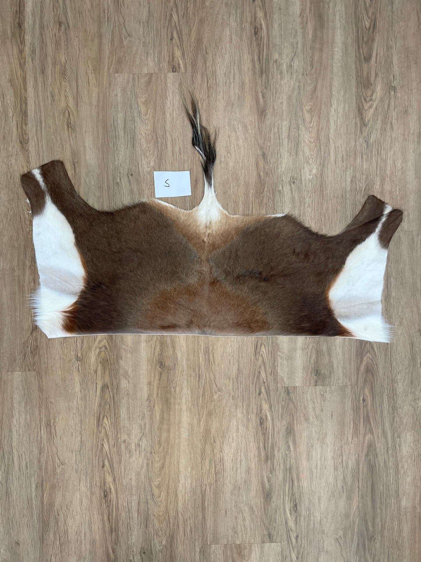 Blesbok back Skin