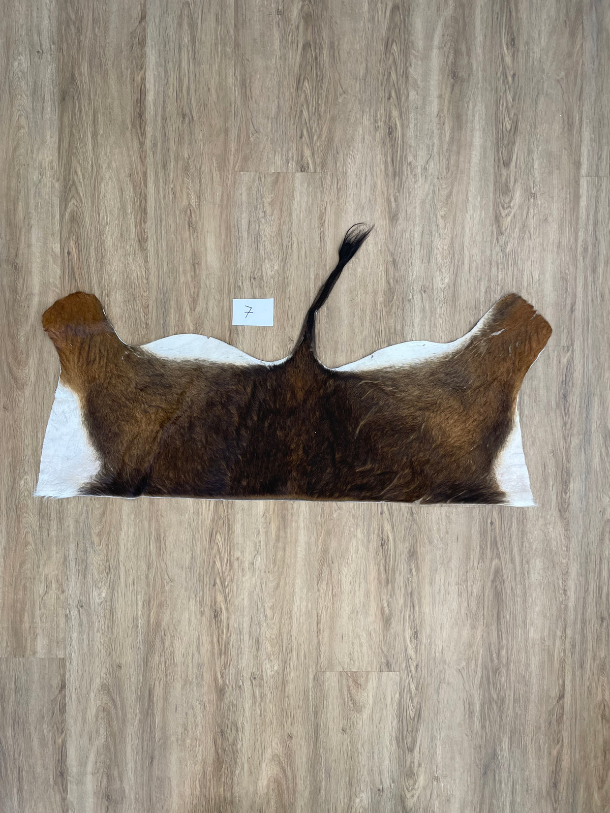 Sable back Skin