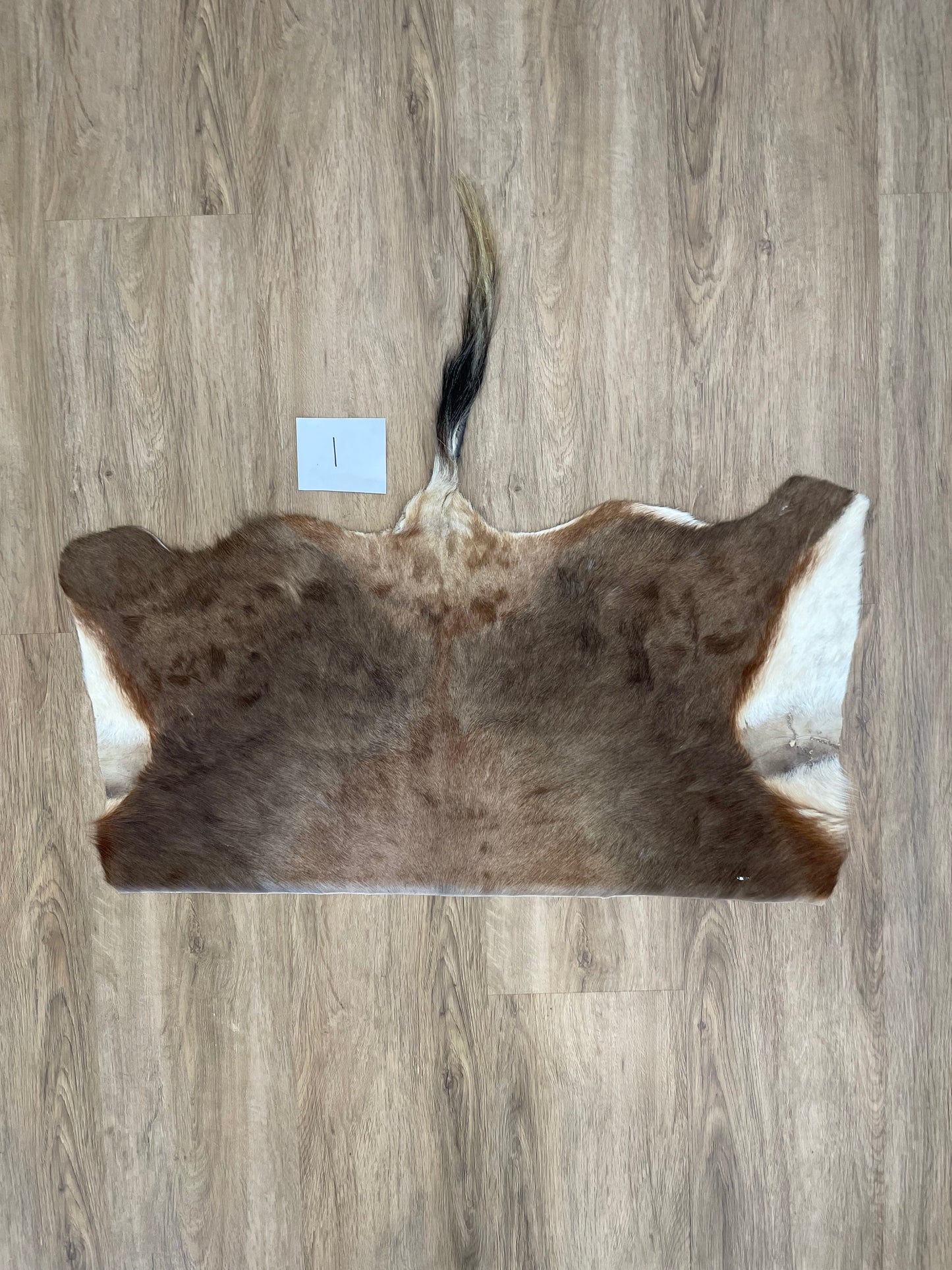 Blesbok back Skin