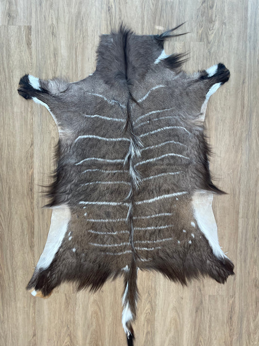 Nyala Skin
