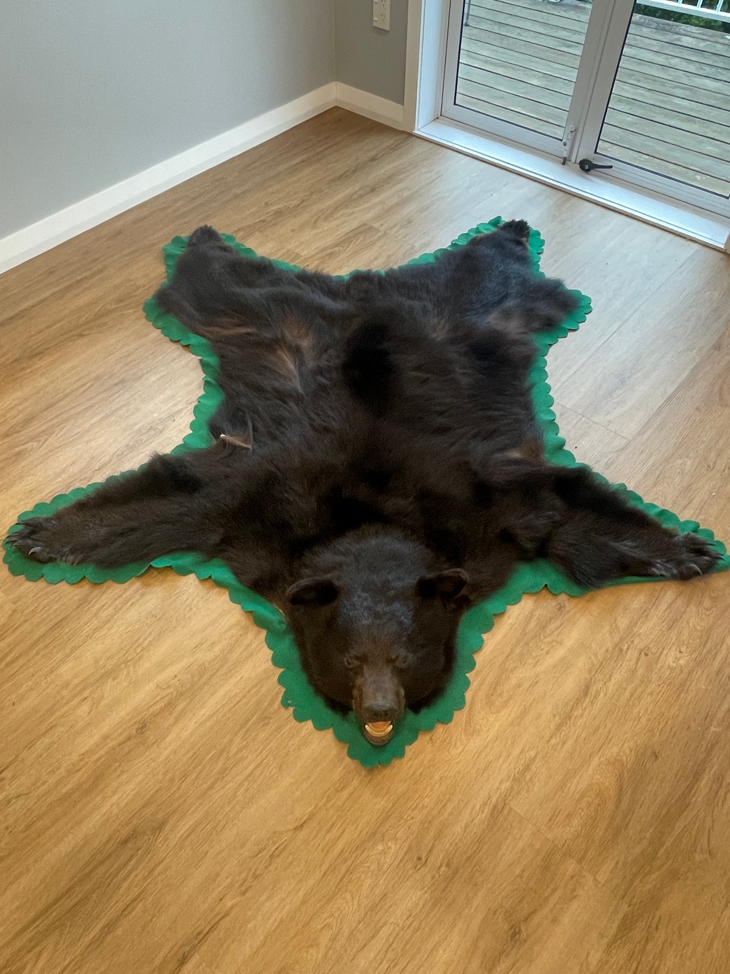 Black Bear Skin