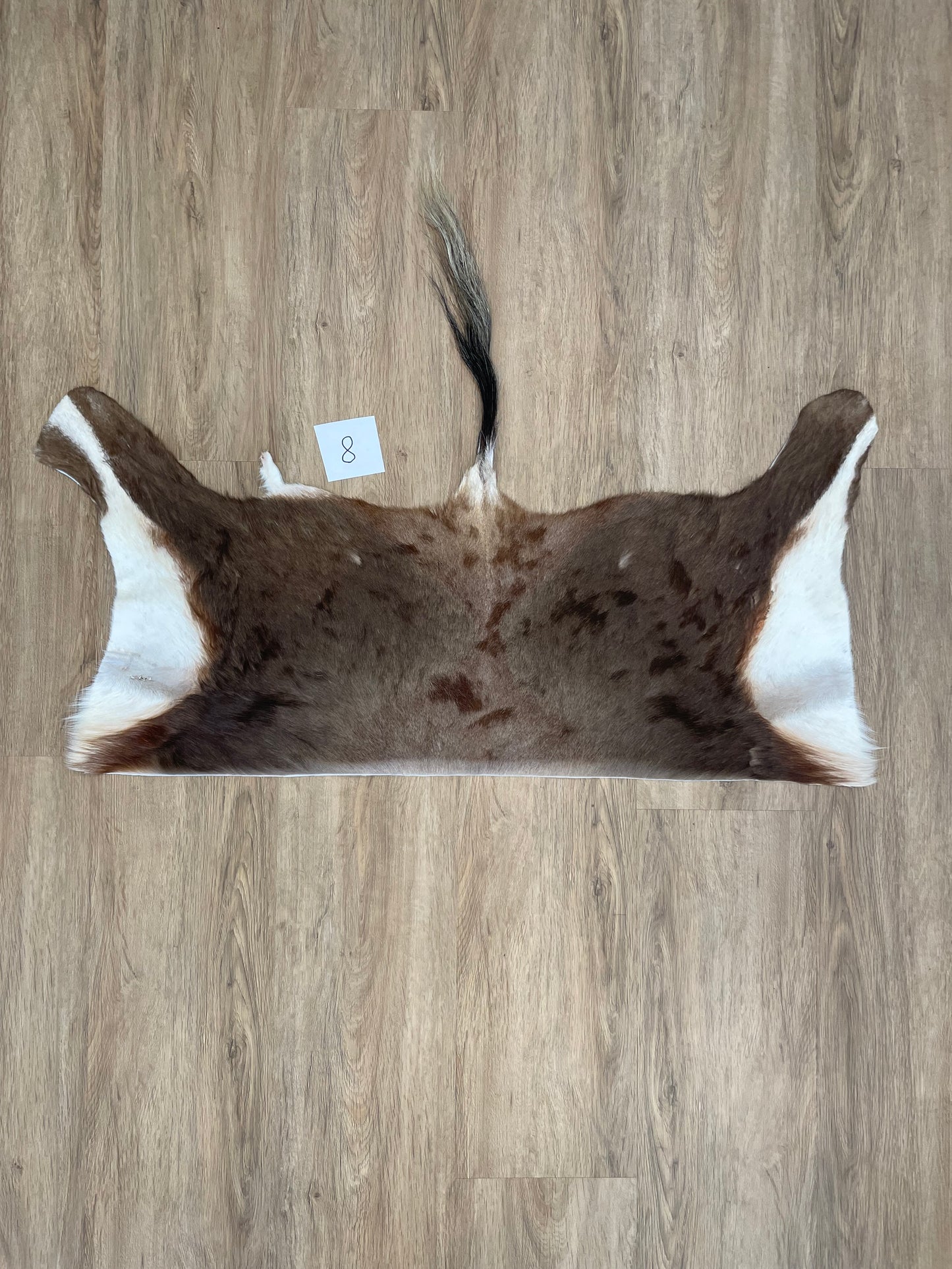 Blesbok back Skin