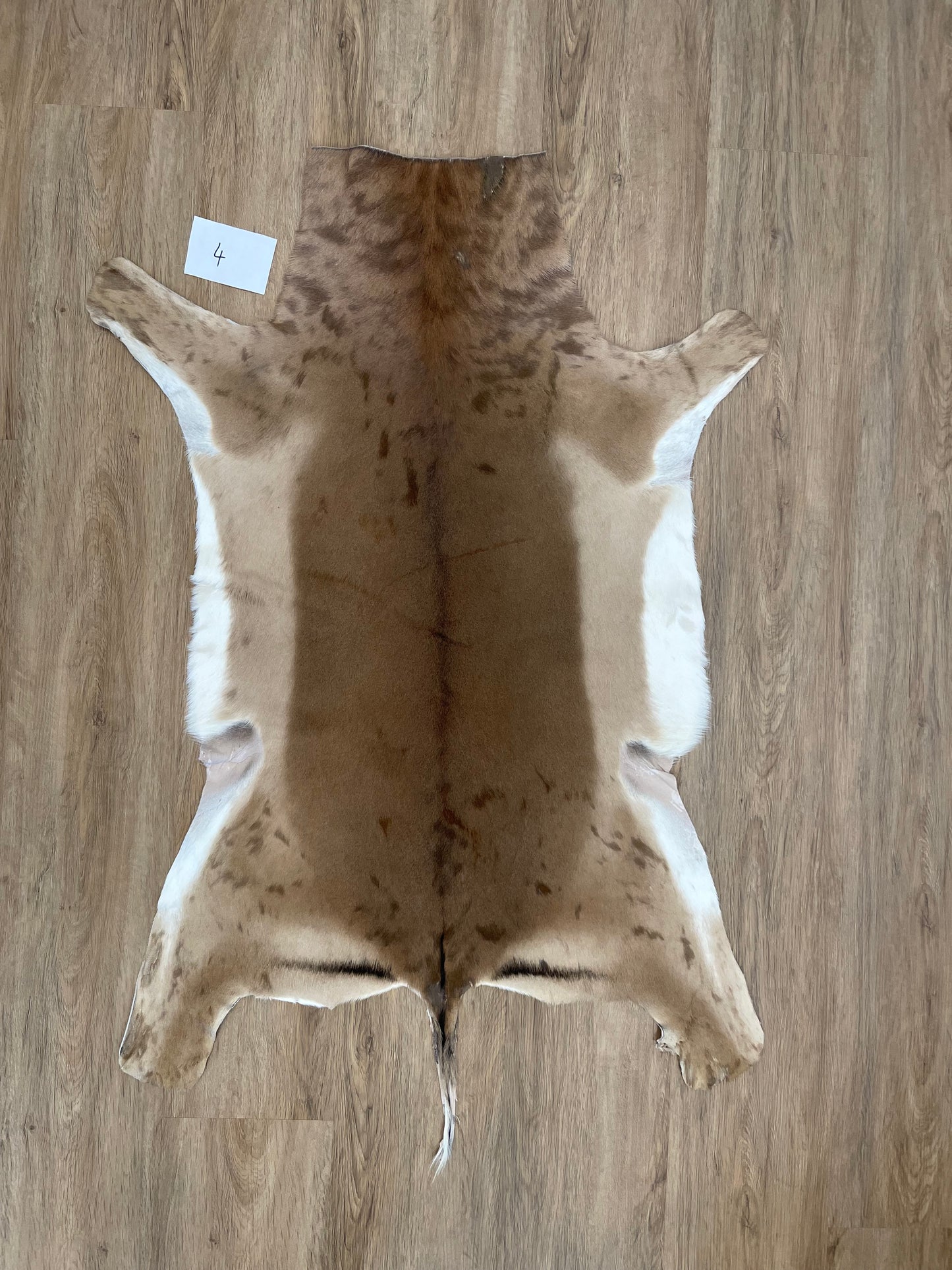 Impala Skin