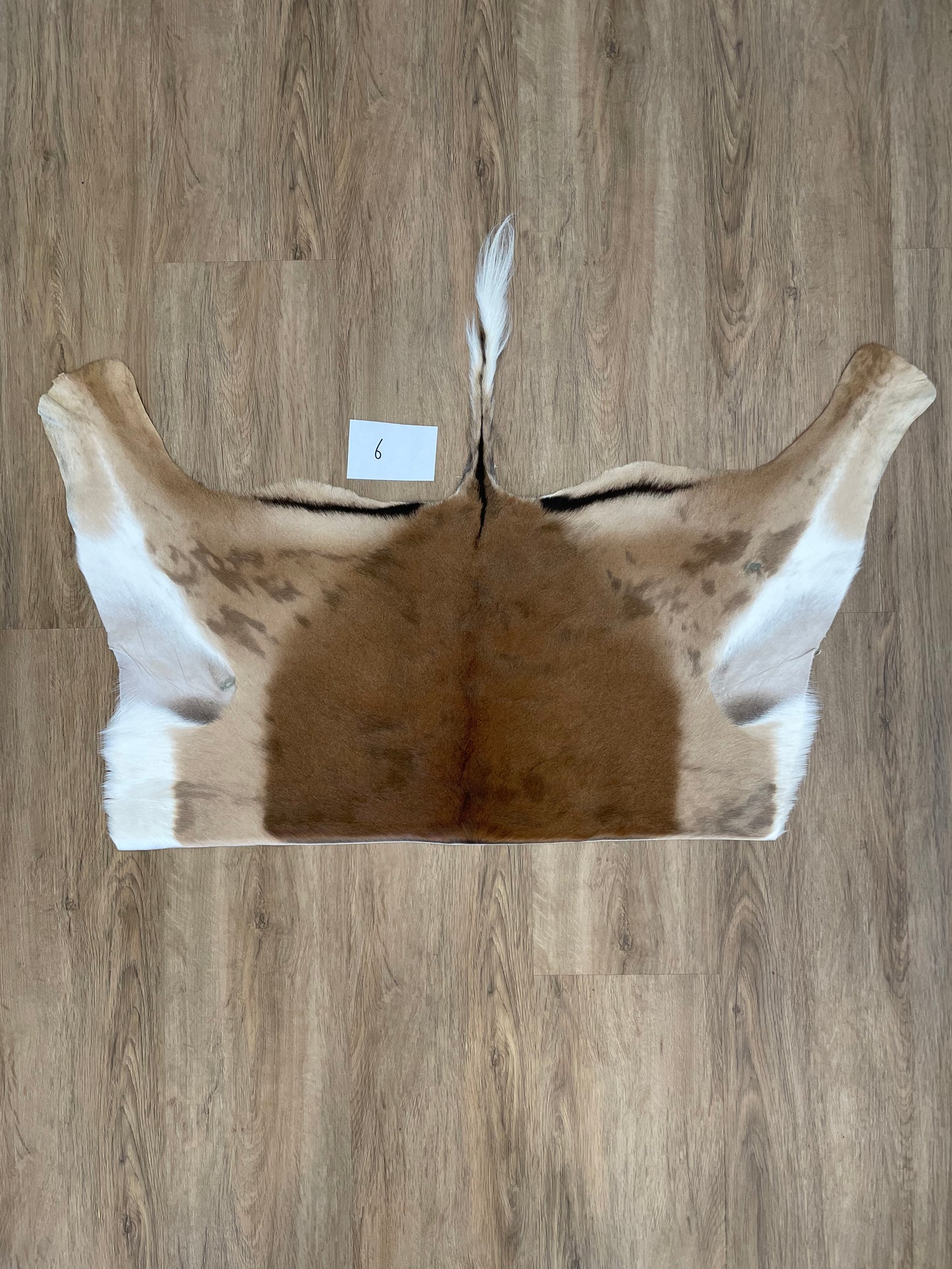Impala Half Skin
