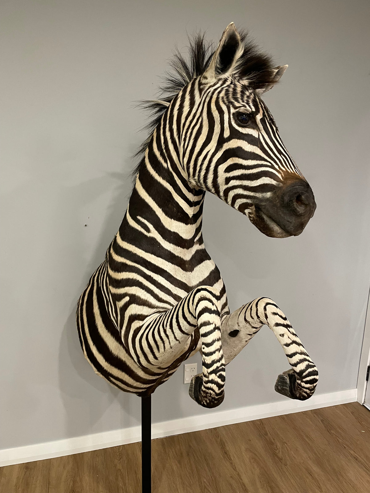 Zebra Pedestal
