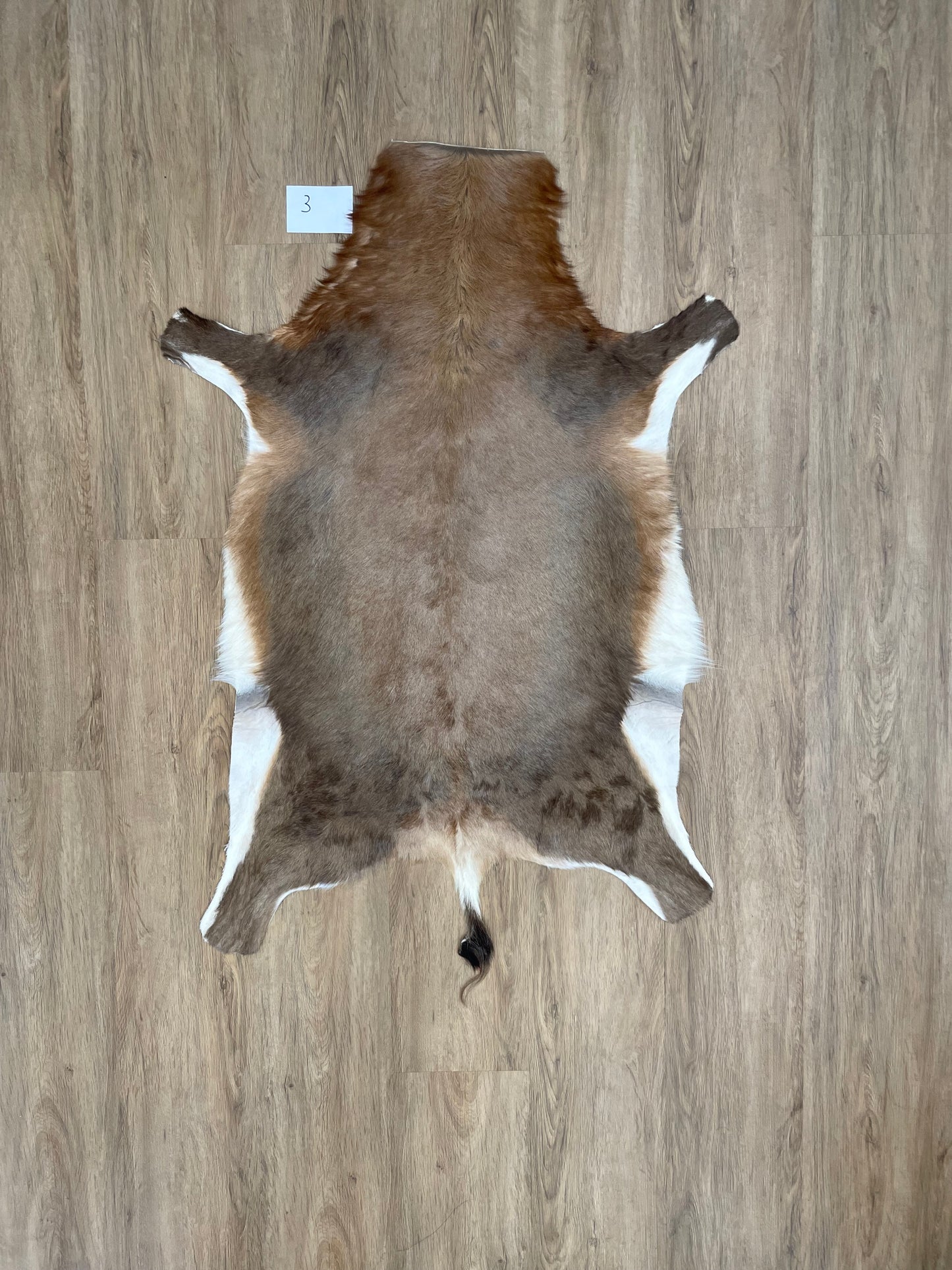 Blesbok Skin