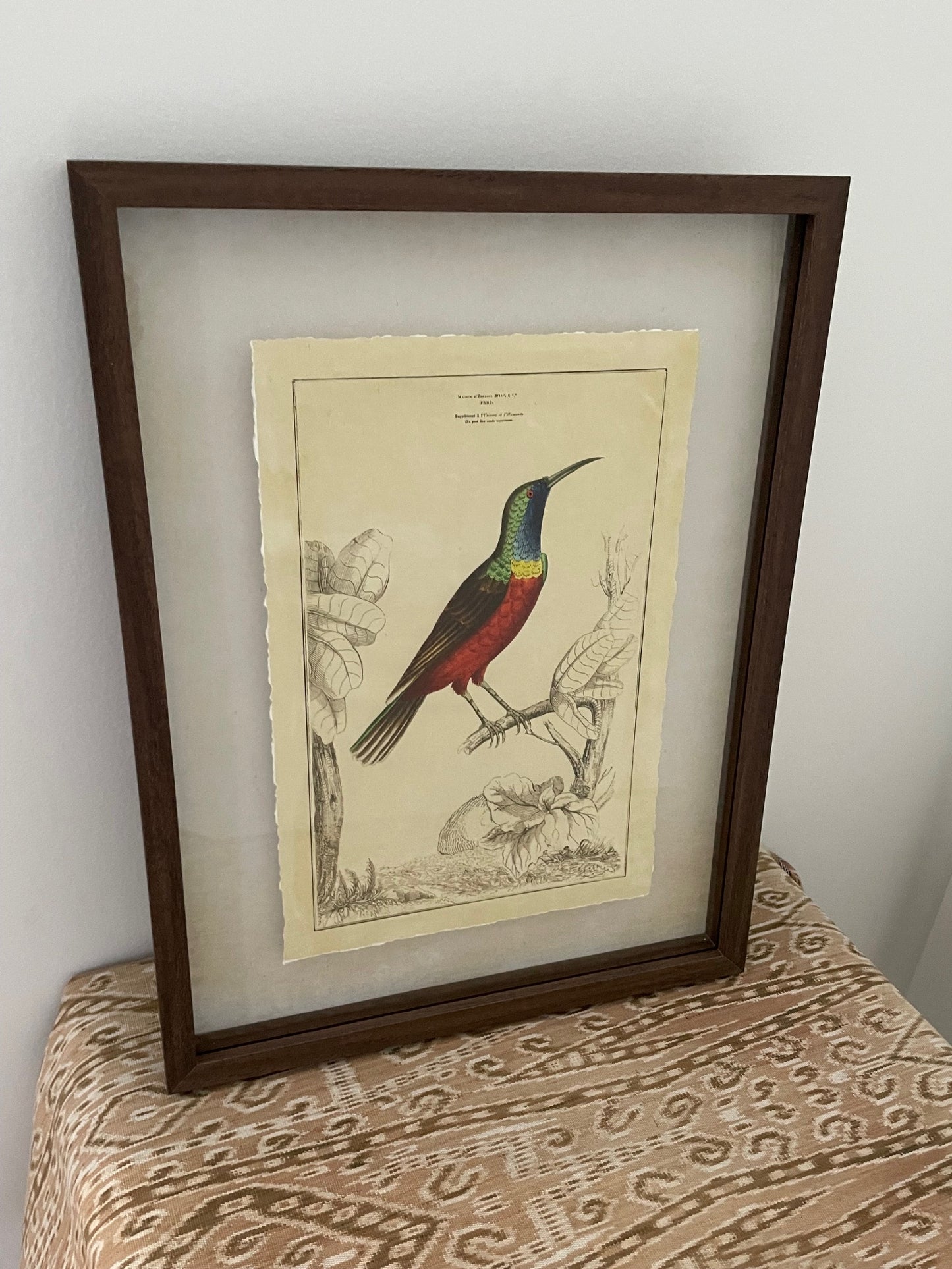 Sunbird Framed Print