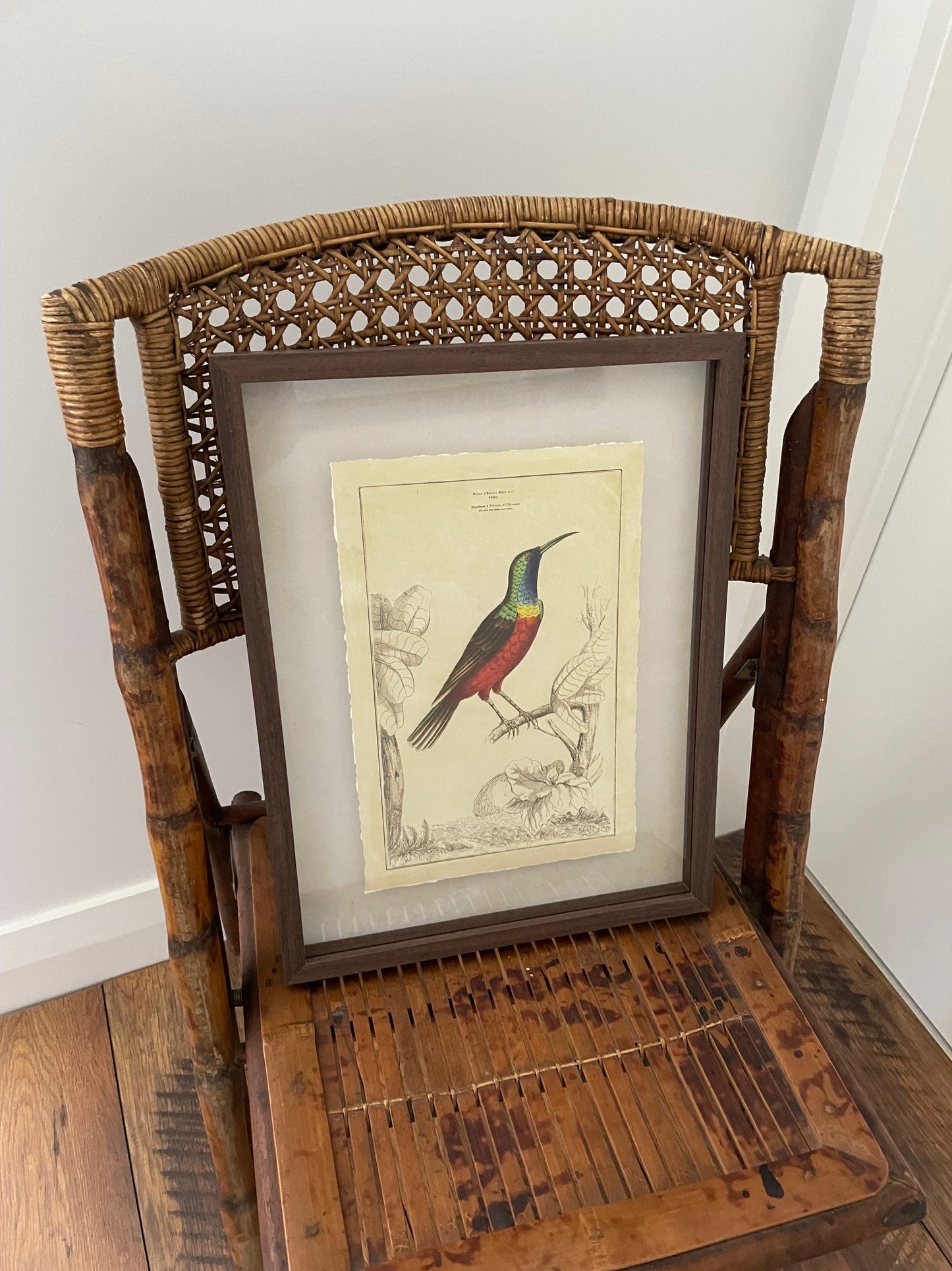 Sunbird Framed Print