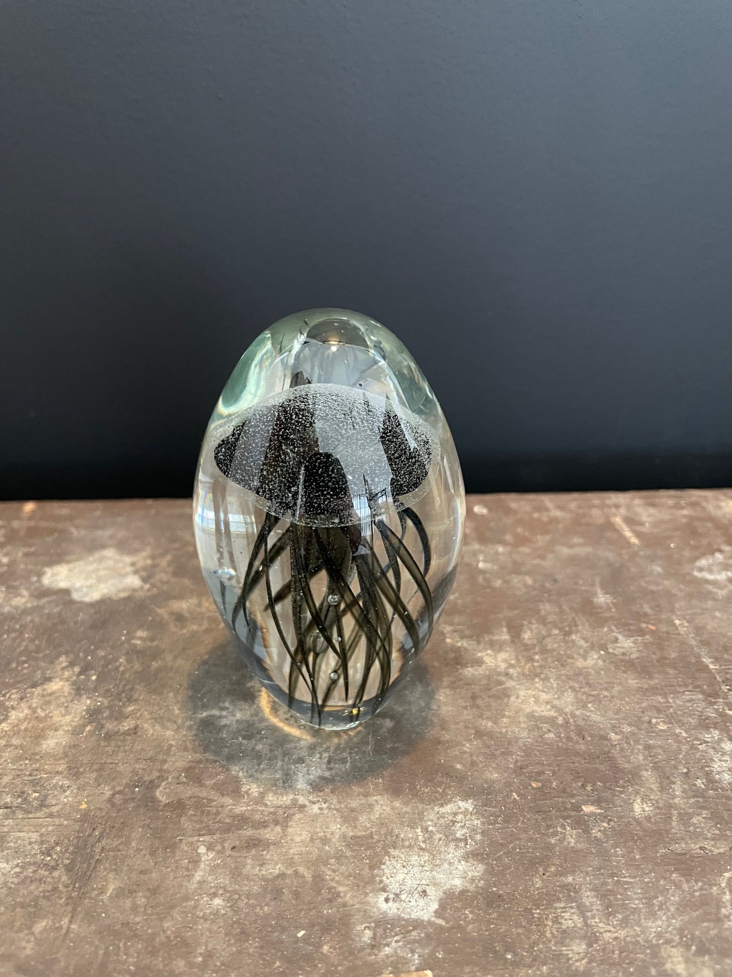 Jellyfish Paper Weight